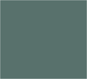 BO. GelPolish #034 Sage 7ml