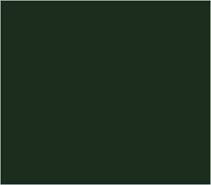 BO. GelPolish #059 Pine Tree 7 ml