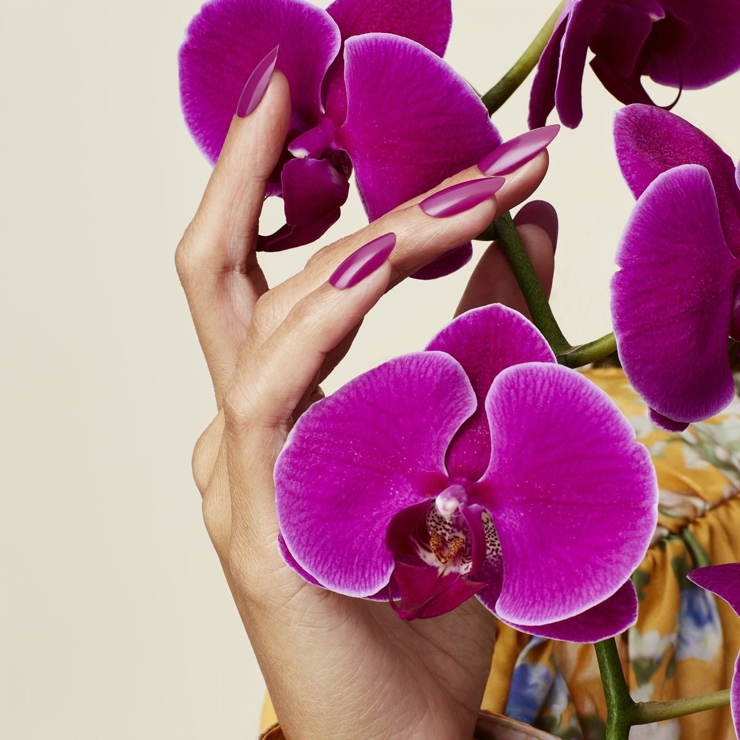 CND™ Shellac™ Orchid Canopy