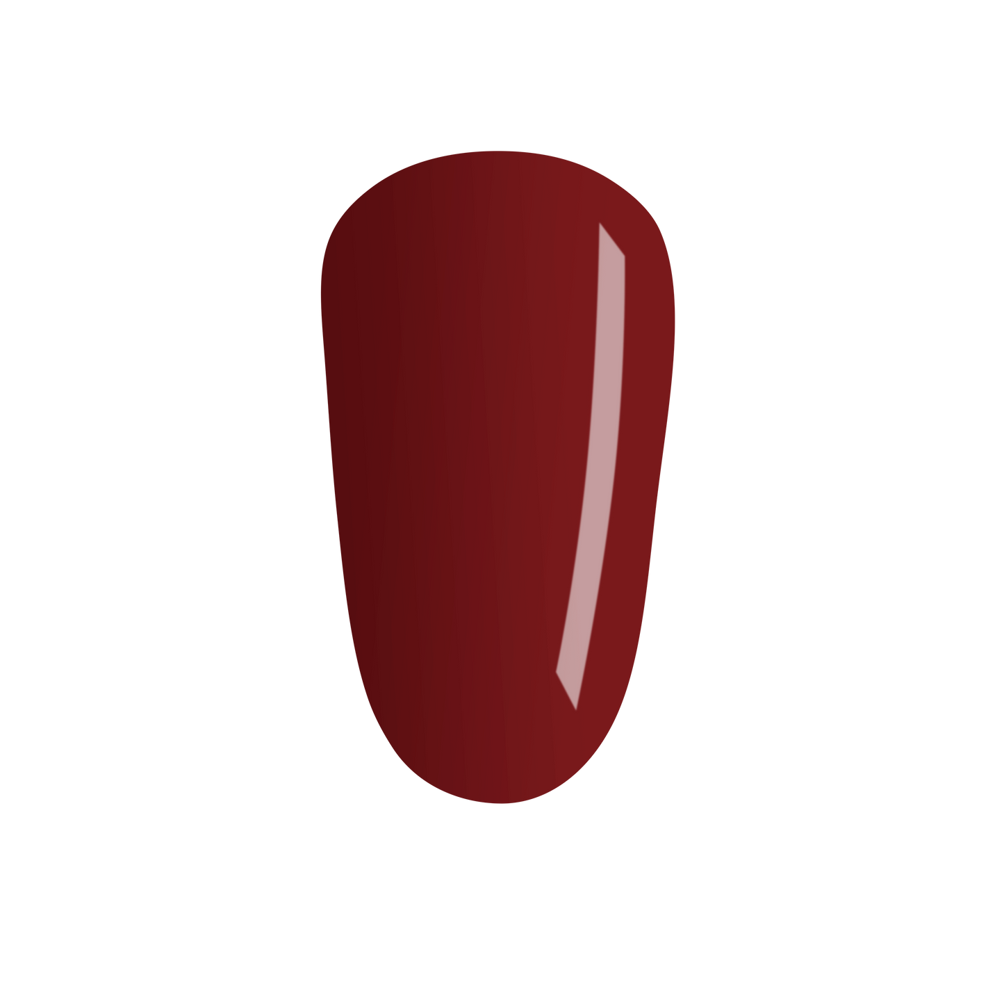 CND™ Shellac™ take root