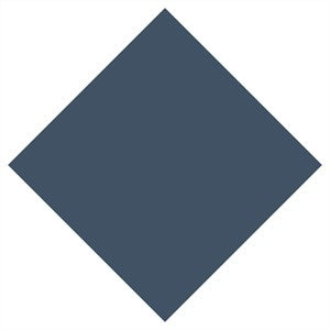 NP- Gelpolish Upvoted Quizzical Denim #185