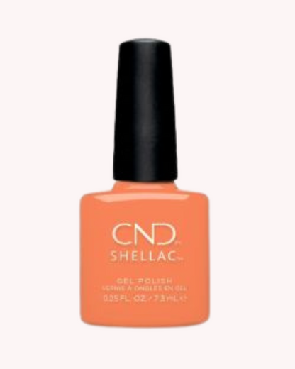 CND™ Shellac™ Catch of the Day