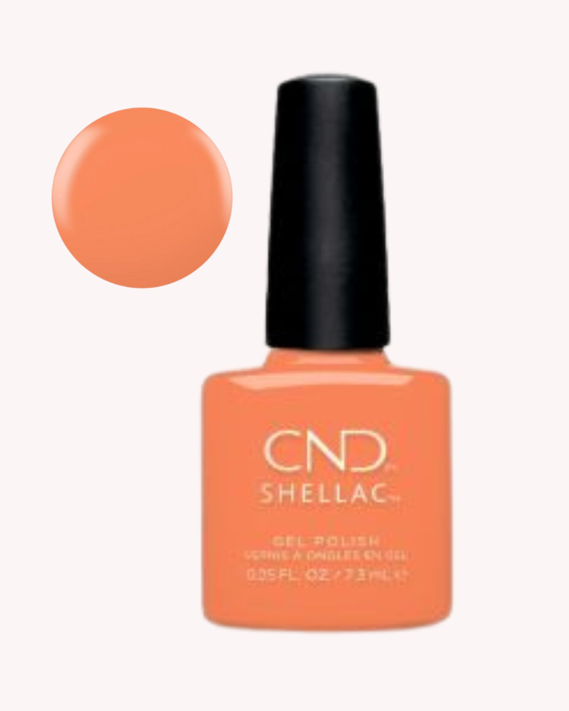 CND™ Shellac™ Catch of the Day