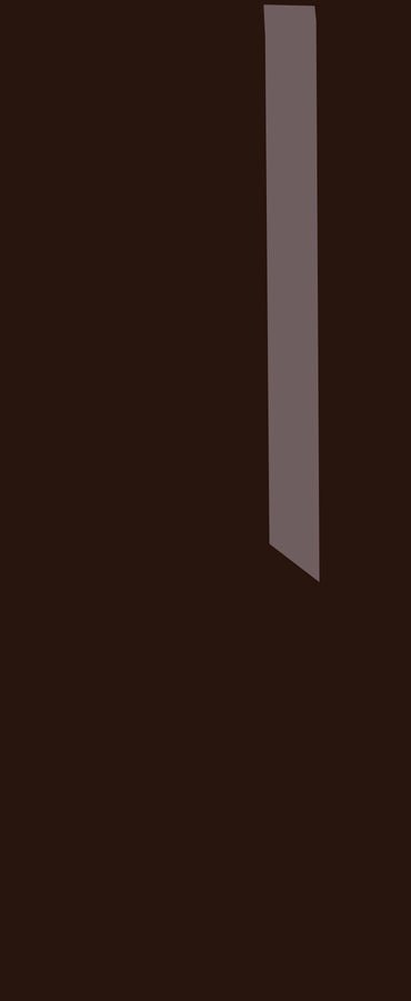 Pronails - BColour 401 Ganache 10 ml