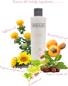 Indulge - JuiceUp Hot Oil 250ml