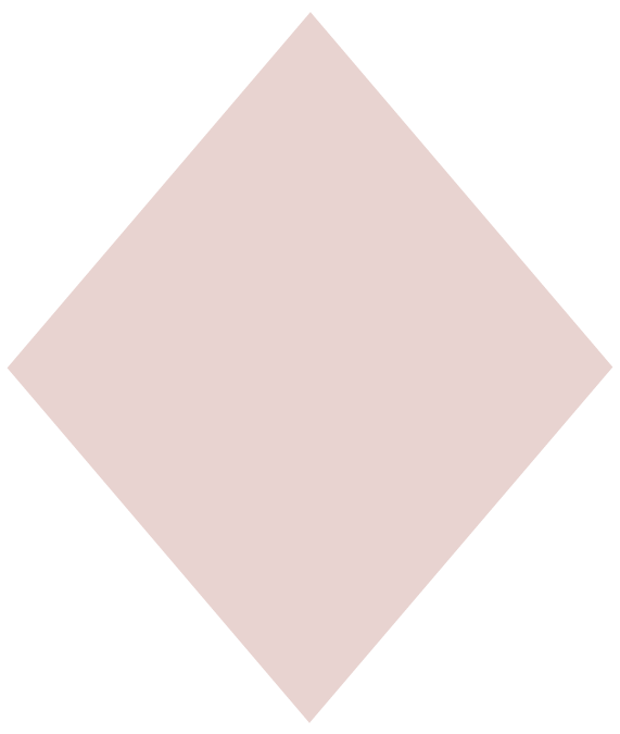 NP - DIPPN Powder Blush #003
