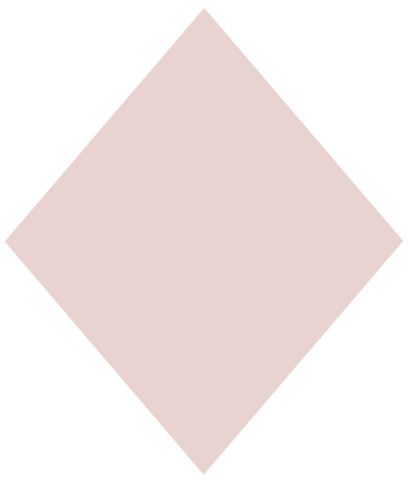 NP - DIPPN Powder Blush #003