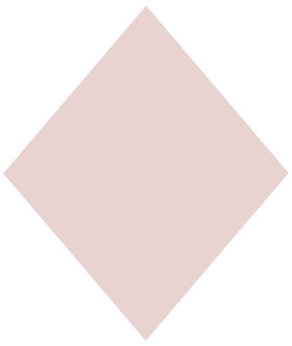 NP - DIPPN Powder Blush #003